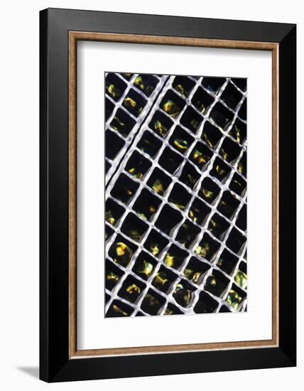 Rippled Steel II-Alan Hausenflock-Framed Photographic Print