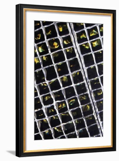 Rippled Steel-Alan Hausenflock-Framed Photographic Print