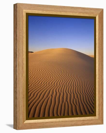 Ripples Covering Sand Dune-James Randklev-Framed Premier Image Canvas