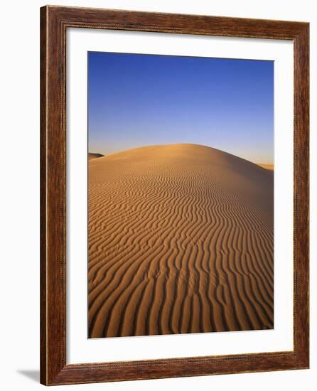 Ripples Covering Sand Dune-James Randklev-Framed Photographic Print