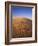 Ripples Covering Sand Dune-James Randklev-Framed Photographic Print