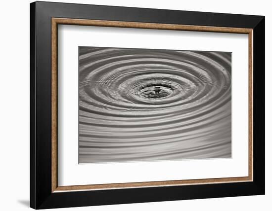 Ripples II-Tammy Putman-Framed Photographic Print