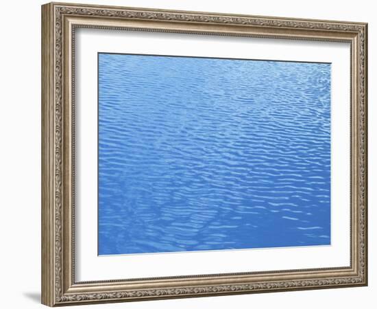 Ripples In a Swimming Pool-Tony Craddock-Framed Photographic Print