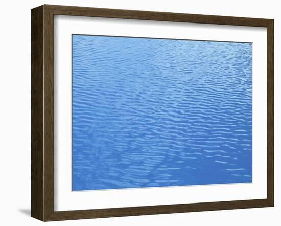 Ripples In a Swimming Pool-Tony Craddock-Framed Photographic Print