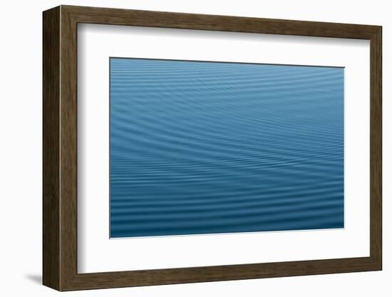 Ripples in Bayou, Stephensville, Atchafalaya Basin, Louisiana, USA-Alison Jones-Framed Photographic Print