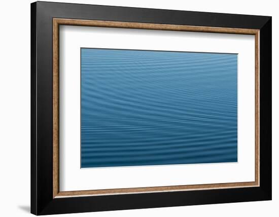 Ripples in Bayou, Stephensville, Atchafalaya Basin, Louisiana, USA-Alison Jones-Framed Photographic Print