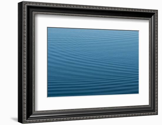 Ripples in Bayou, Stephensville, Atchafalaya Basin, Louisiana, USA-Alison Jones-Framed Photographic Print