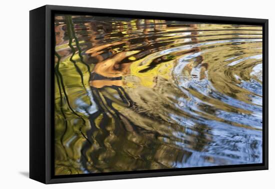 Ripples in Pool at Rancho La Purerta, Tecate, Mexico-Jaynes Gallery-Framed Premier Image Canvas