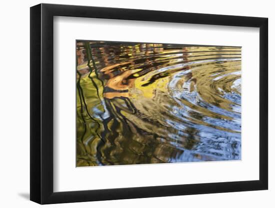 Ripples in Pool at Rancho La Purerta, Tecate, Mexico-Jaynes Gallery-Framed Photographic Print