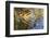 Ripples in Pool at Rancho La Purerta, Tecate, Mexico-Jaynes Gallery-Framed Photographic Print