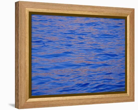 Ripples in Water Reflecting Light and Blue Sky, San Diego, California, U.S.A., North America-Ruth Tomlinson-Framed Premier Image Canvas