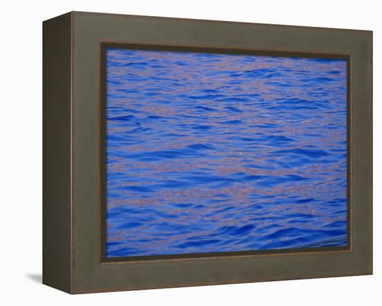 Ripples in Water Reflecting Light and Blue Sky, San Diego, California, U.S.A., North America-Ruth Tomlinson-Framed Premier Image Canvas