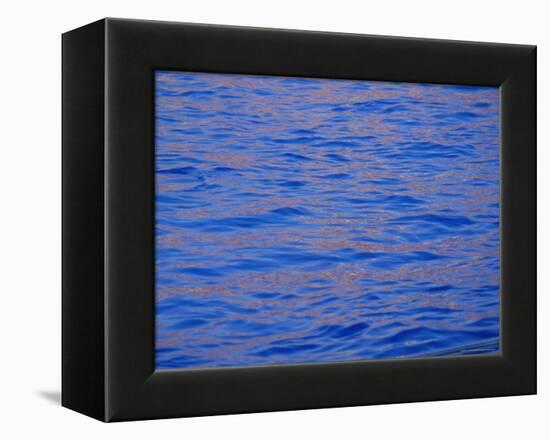 Ripples in Water Reflecting Light and Blue Sky, San Diego, California, U.S.A., North America-Ruth Tomlinson-Framed Premier Image Canvas