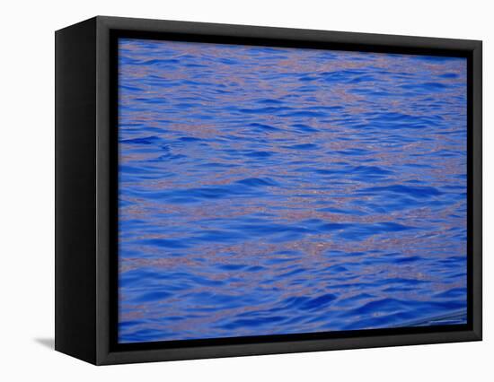 Ripples in Water Reflecting Light and Blue Sky, San Diego, California, U.S.A., North America-Ruth Tomlinson-Framed Premier Image Canvas