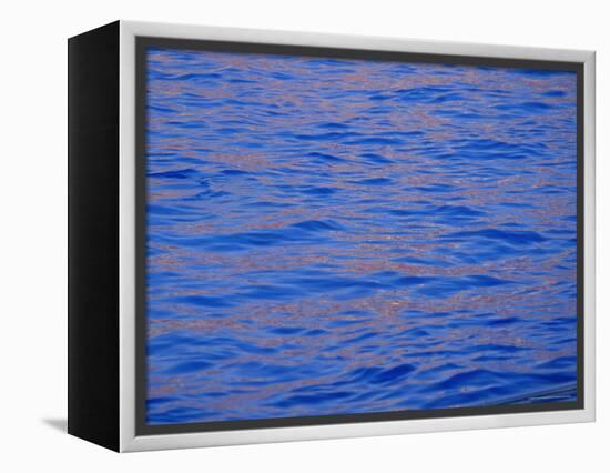 Ripples in Water Reflecting Light and Blue Sky, San Diego, California, U.S.A., North America-Ruth Tomlinson-Framed Premier Image Canvas