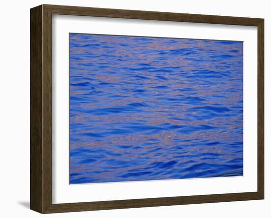 Ripples in Water Reflecting Light and Blue Sky, San Diego, California, U.S.A., North America-Ruth Tomlinson-Framed Photographic Print