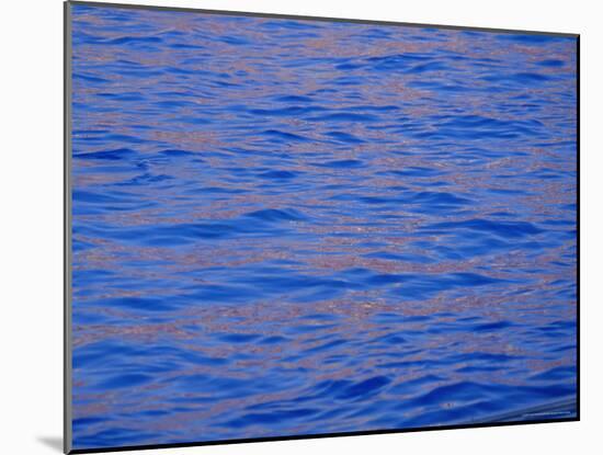 Ripples in Water Reflecting Light and Blue Sky, San Diego, California, U.S.A., North America-Ruth Tomlinson-Mounted Photographic Print