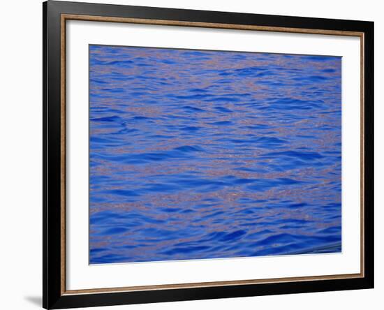 Ripples in Water Reflecting Light and Blue Sky, San Diego, California, U.S.A., North America-Ruth Tomlinson-Framed Photographic Print