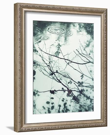 Ripples of the Rain I-Amy Melious-Framed Art Print