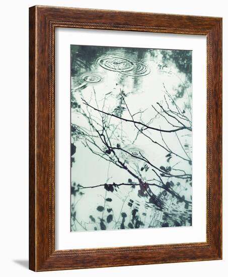 Ripples of the Rain I-Amy Melious-Framed Art Print