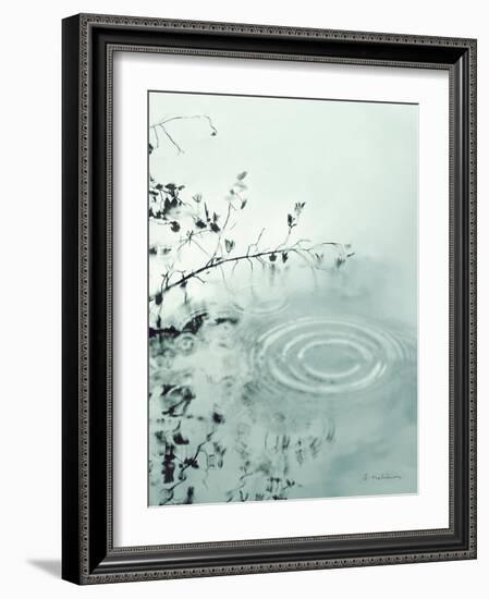 Ripples of the Rain III-Amy Melious-Framed Art Print