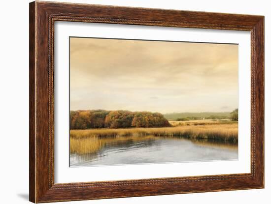 Ripples On the Water-John Seba-Framed Art Print