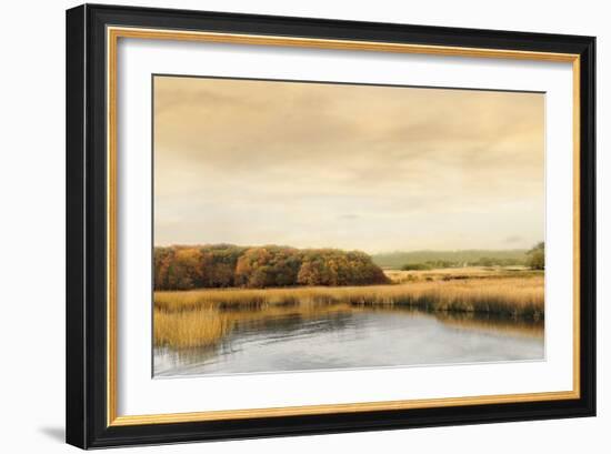 Ripples On the Water-John Seba-Framed Art Print