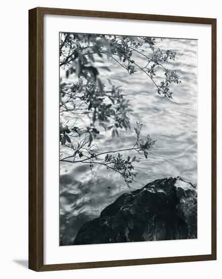 Ripples-Andrew Geiger-Framed Giclee Print