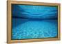 Rippling Water in Swimming Pool-Rick Doyle-Framed Premier Image Canvas