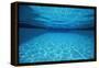 Rippling Water in Swimming Pool-Rick Doyle-Framed Premier Image Canvas