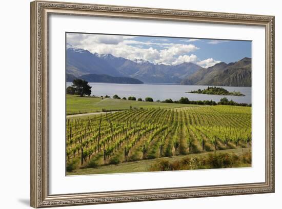 Rippon Vineyard on Lake Wanaka, Wanaka, Otago, South Island, New Zealand, Pacific-Stuart Black-Framed Photographic Print