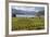 Rippon Vineyard on Lake Wanaka, Wanaka, Otago, South Island, New Zealand, Pacific-Stuart Black-Framed Photographic Print