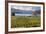 Rippon Vineyard on Lake Wanaka, Wanaka, Otago, South Island, New Zealand, Pacific-Stuart Black-Framed Photographic Print