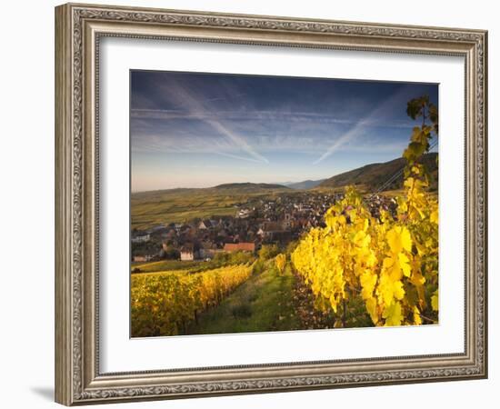 Riquewihr, Alsatian Wine Route, Alsace Region, Haut-Rhin, France-Walter Bibikow-Framed Photographic Print