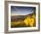 Riquewihr, Alsatian Wine Route, Alsace Region, Haut-Rhin, France-Walter Bibikow-Framed Photographic Print