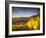 Riquewihr, Alsatian Wine Route, Alsace Region, Haut-Rhin, France-Walter Bibikow-Framed Photographic Print