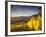 Riquewihr, Alsatian Wine Route, Alsace Region, Haut-Rhin, France-Walter Bibikow-Framed Photographic Print