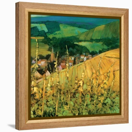 Riquewihr-Philip Craig-Framed Stretched Canvas