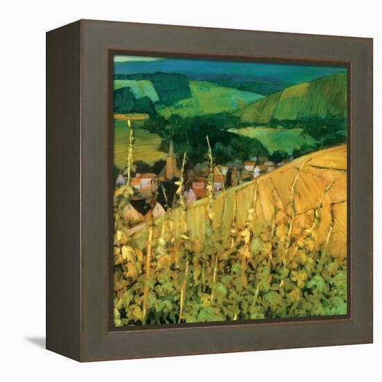 Riquewihr-Philip Craig-Framed Stretched Canvas