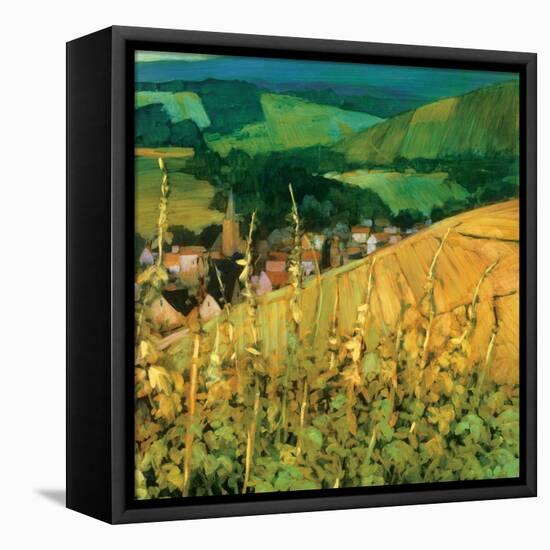 Riquewihr-Philip Craig-Framed Stretched Canvas