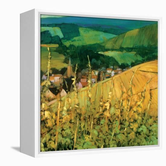 Riquewihr-Philip Craig-Framed Stretched Canvas