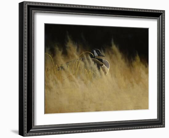 Rise and Shine-Michael Budden-Framed Giclee Print