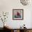 Rise' Ladybird on Chrysanthemum-Kirstie Adamson-Framed Giclee Print displayed on a wall