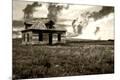 Photographic Print