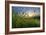 Rising Beyond the Buttercups-Adrian Campfield-Framed Photographic Print