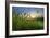 Rising Beyond the Buttercups-Adrian Campfield-Framed Photographic Print