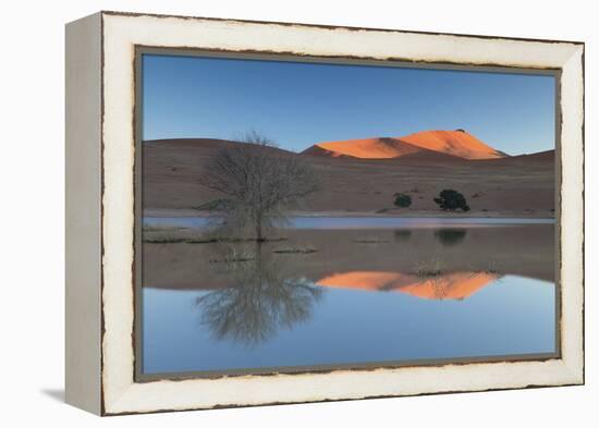 Rising Sun Catching the Summit of Towering Orange Sand Dunes with Reflections-Lee Frost-Framed Premier Image Canvas