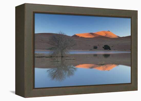 Rising Sun Catching the Summit of Towering Orange Sand Dunes with Reflections-Lee Frost-Framed Premier Image Canvas