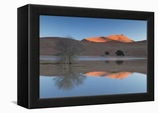 Rising Sun Catching the Summit of Towering Orange Sand Dunes with Reflections-Lee Frost-Framed Premier Image Canvas