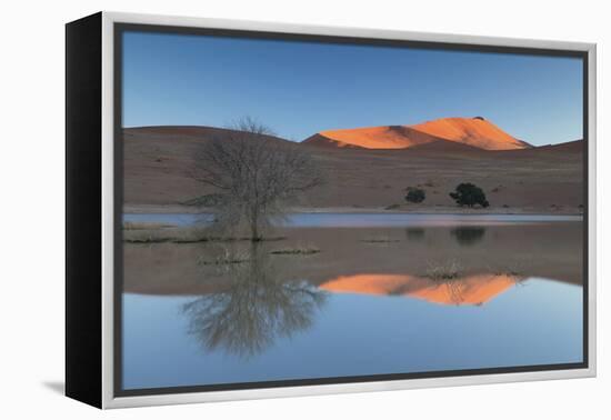 Rising Sun Catching the Summit of Towering Orange Sand Dunes with Reflections-Lee Frost-Framed Premier Image Canvas